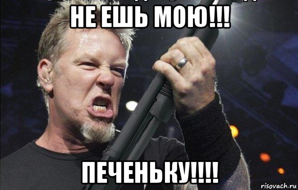 не ешь мою!!! печеньку!!!!, Мем То чувство когда