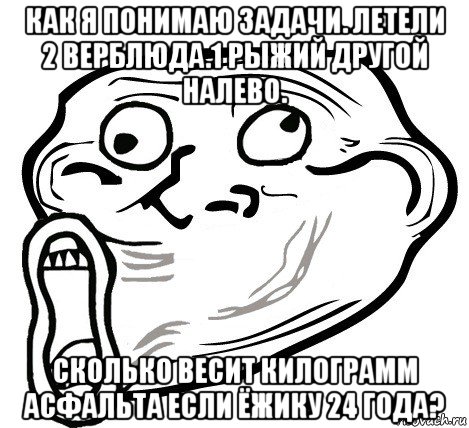 как я понимаю задачи. летели 2 верблюда.1 рыжий другой налево. сколько весит килограмм асфальта если ёжику 24 года?