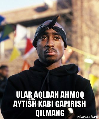  ular aqldan ahmoq aytish kabi gapirish qilmang, Мем ТУПАК