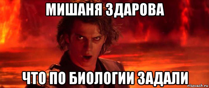 мишаня здарова что по биологии задали