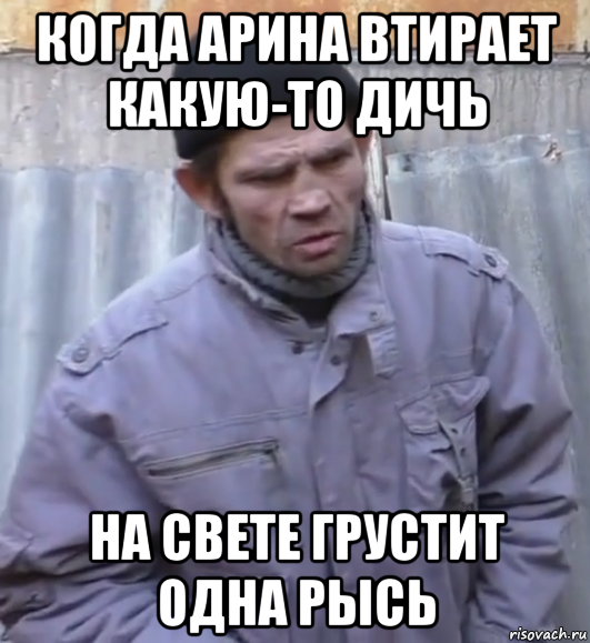 когда арина втирает какую-то дичь на свете грустит одна рысь, Мем  Ты втираешь мне какую то дичь