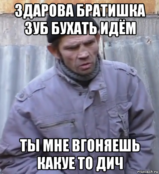 здарова братишка зуб бухать идём ты мне вгоняешь какуе то дич, Мем  Ты втираешь мне какую то дичь