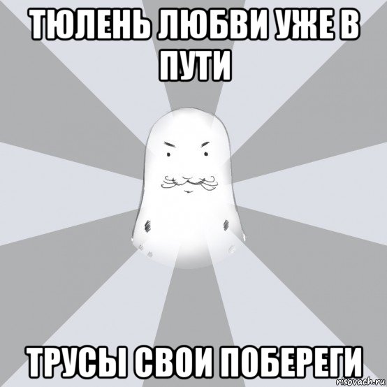 тюлень любви уже в пути трусы свои побереги