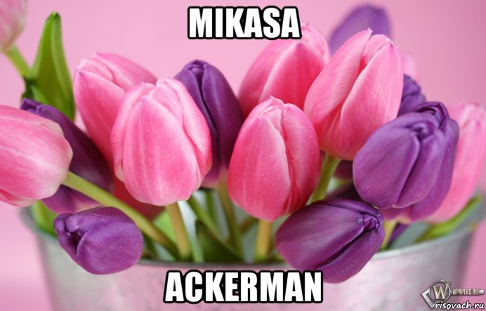 mikasa ackerman, Мем тюльпаны