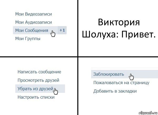Виктория Шолуха: Привет., Комикс  Удалить из друзей