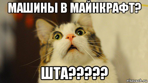 машины в майнкрафт? шта?????, Мем Удивленный кот