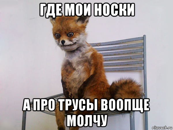где мои носки а про трусы воопще молчу, Мем Упоротый лис