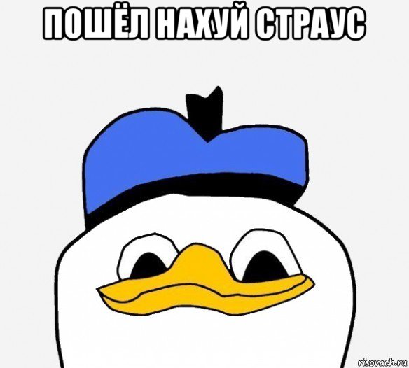 пошёл нахуй страус , Мем Утка