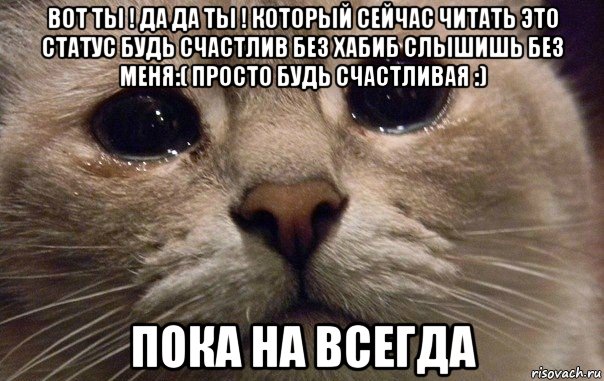 вот ты ! да да ты ! который сейчас читать это статус будь счастлив без хабиб слышишь без меня:( просто будь счастливая :) пока на всегда, Мем   В мире грустит один котик