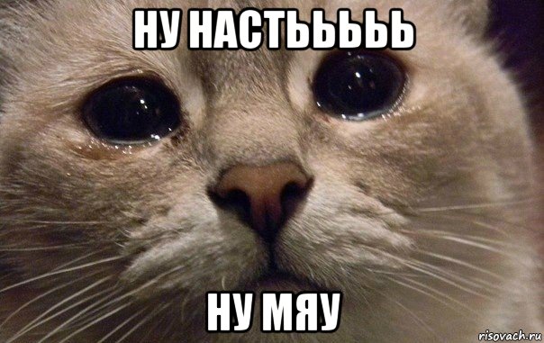 ну настььььь ну мяу, Мем   В мире грустит один котик