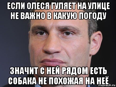 если олеся гуляет на улице не важно в какую погоду значит с ней рядом есть собака не похожая на неё