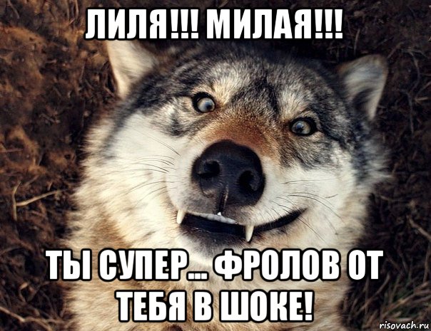 лиля!!! милая!!! ты супер... фролов от тебя в шоке!, Мем Волк