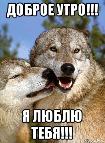 Смотреть люблю тебя доброе утро картинки люблю тебя доброе утро картинки