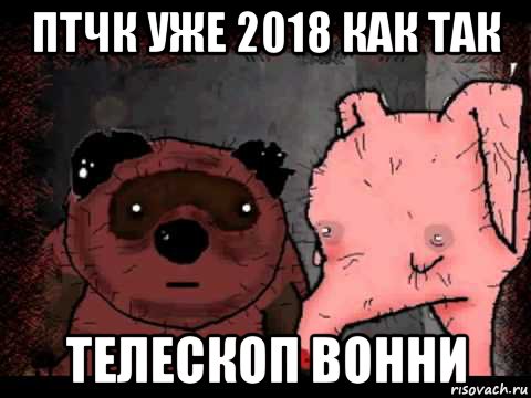 птчк уже 2018 как так телескоп вонни, Мем Вонни и Птчк