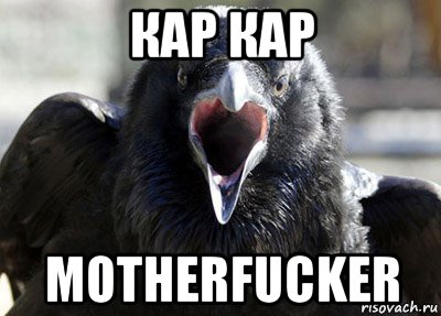 кар кар motherfucker