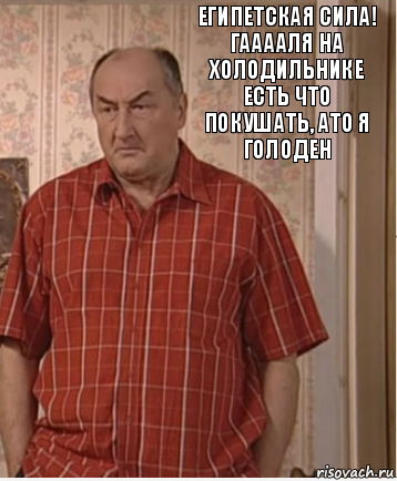 Египетская сила! Гааааля на холодильнике есть что покушать, ато я голоден, Комикс Николай Петрович Воронин