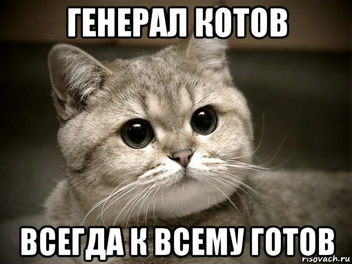 генерал котов всегда к всему готов, Мем Всегда котов