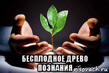  бесплодное древо познания, Мем вырасти свое денежное дерево