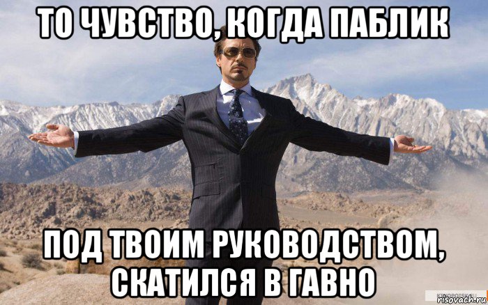 то чувство, когда паблик под твоим руководством, скатился в гавно, Мем железный человек