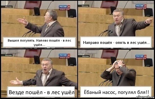 Вышел погулять. Налево пошёл - в лес ушёл... Направо пошёл - опять в лес ушёл... Везде пошёл - в лес ушёл Ёбаный насос, погулял бля!!, Комикс Жирик в шоке хватается за голову