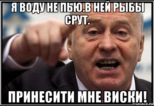 я воду не пью.в ней рыбы срут. принесити мне виски!, Мем жириновский ты