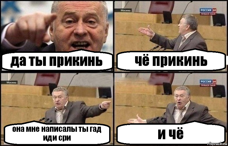 да ты прикинь чё прикинь она мне написалы ты гад иди сри и чё, Комикс Жириновский