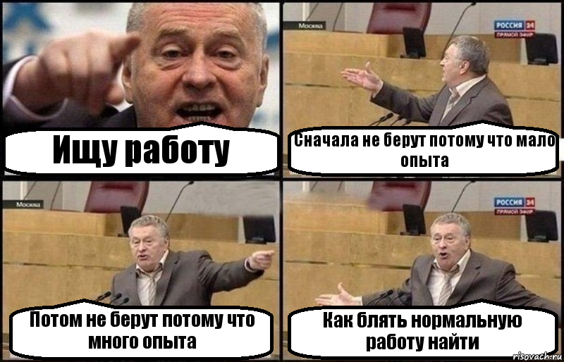 Ищу работу Сначала не берут потому что мало опыта Потом не берут потому что много опыта Как блять нормальную работу найти, Комикс Жириновский