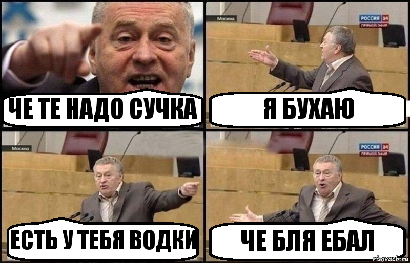 ЧЕ ТЕ НАДО СУЧКА Я БУХАЮ ЕСТЬ У ТЕБЯ ВОДКИ ЧЕ БЛЯ ЕБАЛ, Комикс Жириновский