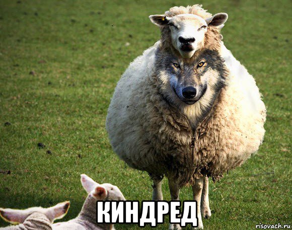  киндред, Мем Злая Овца
