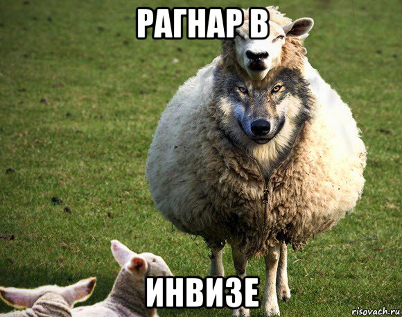 рагнар в инвизе, Мем Злая Овца