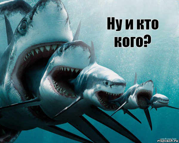Ну и кто кого?, Комикс Акула в акуле