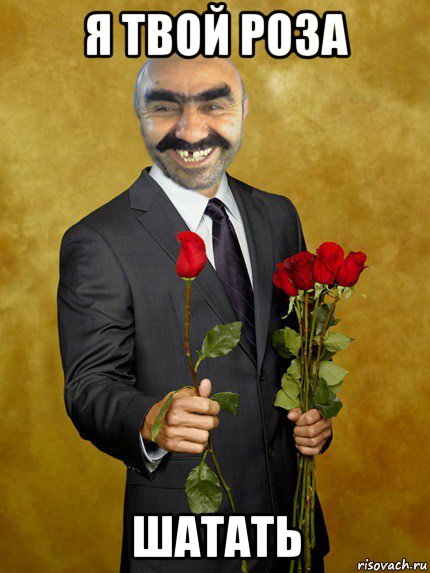 я твой роза шатать, Мем Ашотик влюбленный