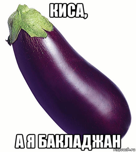 киса, а я бакладжан