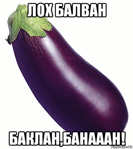 лох балван баклан,банааан!