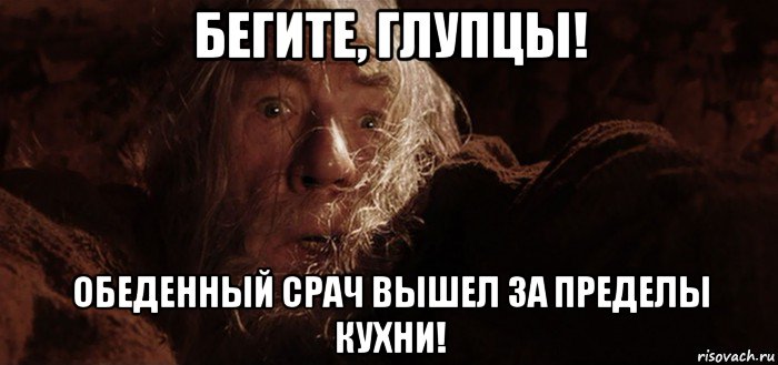 бегите, глупцы! обеденный срач вышел за пределы кухни!, Мем Бегите глупцы