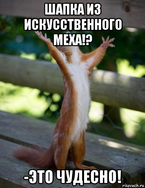 шапка из искусственного меха!? -это чудесно!, Мем    белка молится