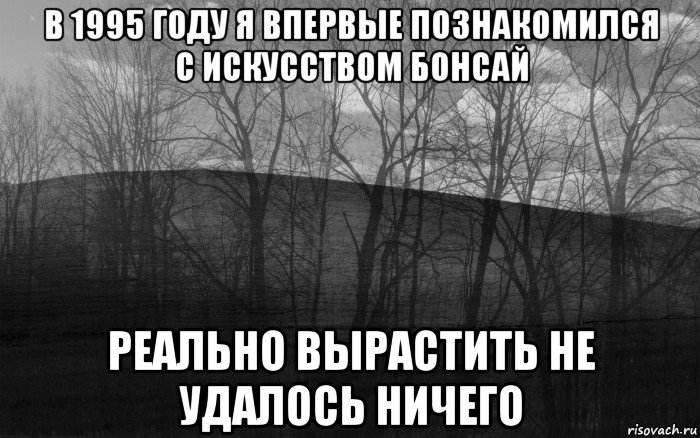 в 1995 году я впервые познакомился с искусством бонсай реально вырастить не удалось ничего, Мем безысходность лес