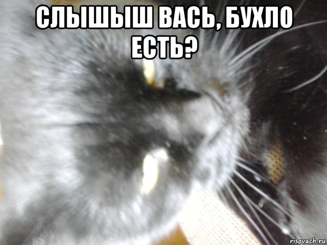 слышыш вась, бухло есть? 