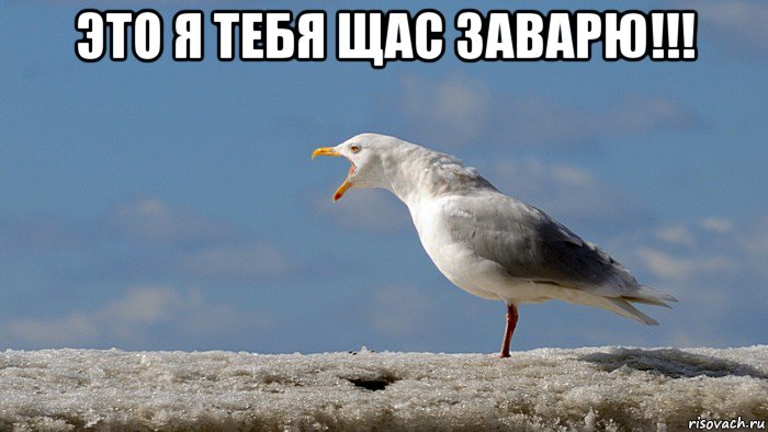 это я тебя щас заварю!!! 