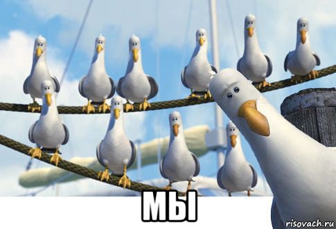  мы