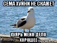 сема хуйни не скажет хуярь меня-дело хорошее