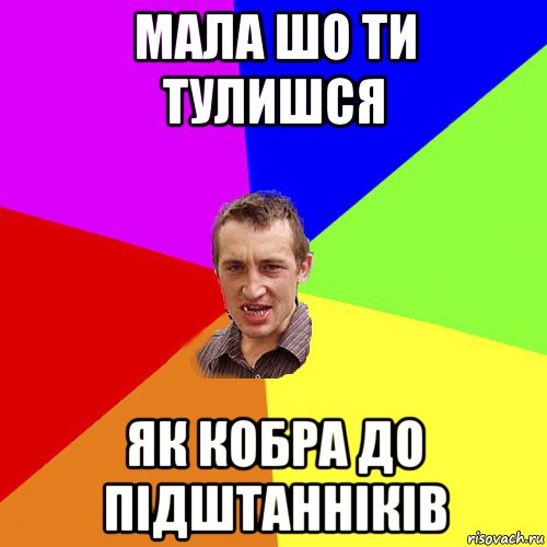 мала шо ти тулишся як кобра до підштанніків, Мем Чоткий паца