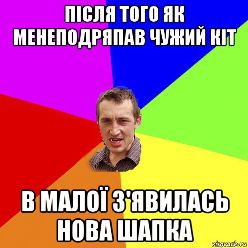 після того як менеподряпав чужий кіт в малої з'явилась нова шапка, Мем Чоткий паца