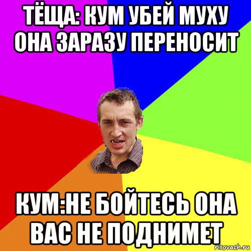 тёща: кум убей муху она заразу переносит кум:не бойтесь она вас не поднимет, Мем Чоткий паца