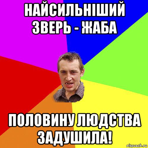 найсильніший зверь - жаба половину людства задушила!, Мем Чоткий паца