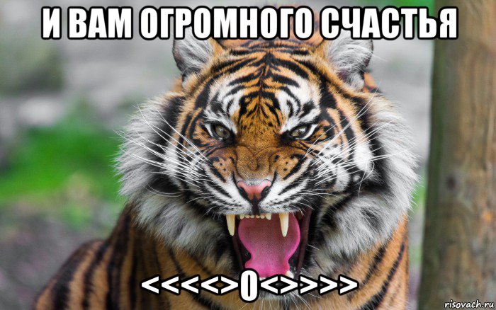 и вам огромного счастья <<<<>0<>>>>, Мем ДЕРЗКИЙ ТИГР