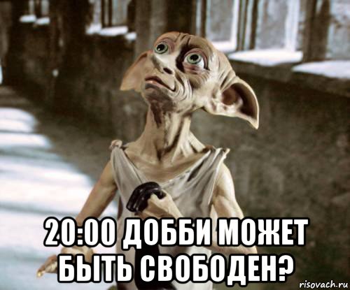  20:00 добби может быть свободен?