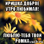 иришка доброе утро любимая! люблю тебя твой ромка, Мем Доброе утро Иришка