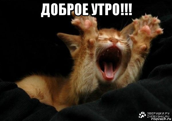 доброе утро!!! 