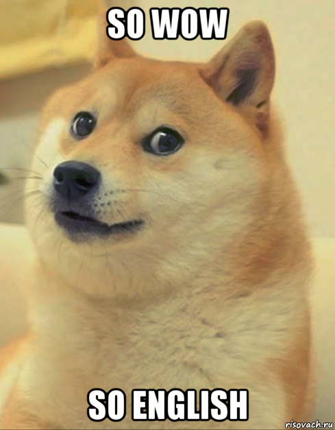 so wow so english, Мем doge woof